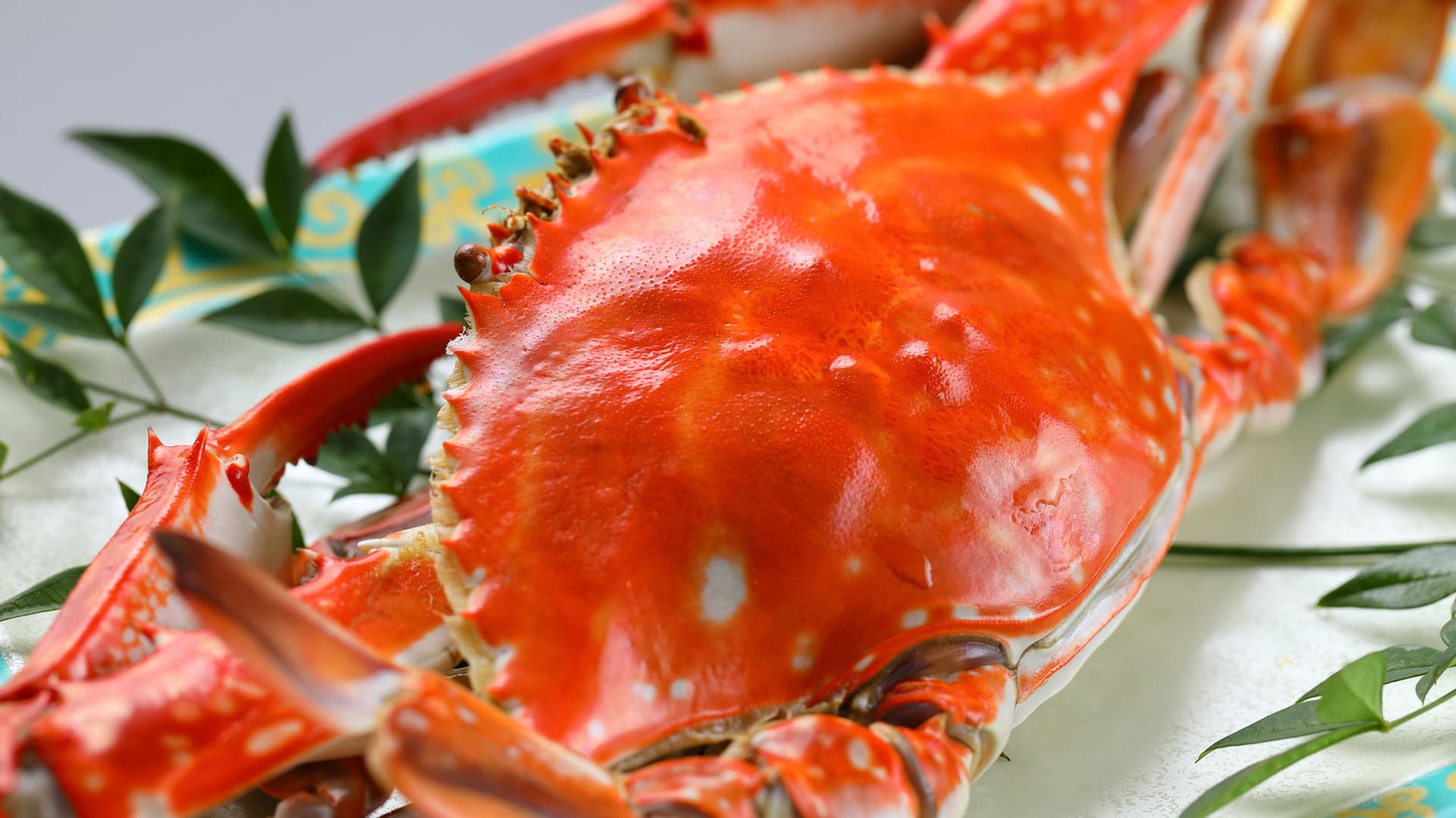 Signature Dish: Takezaki Crab