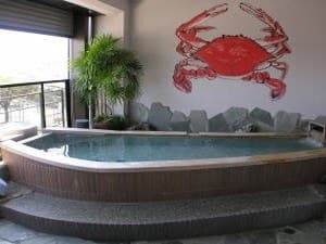 Scenic Baths and Simple Spring Water