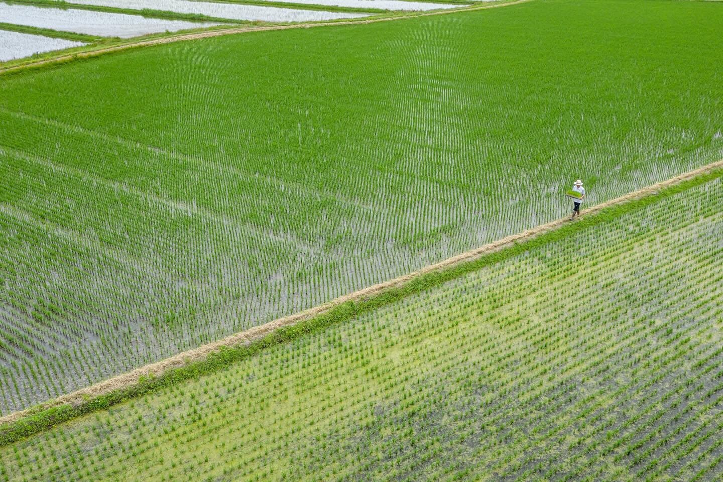 Akayu Onsen and the scenery of Yamagata