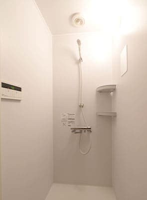 The popular nano-mist sauna