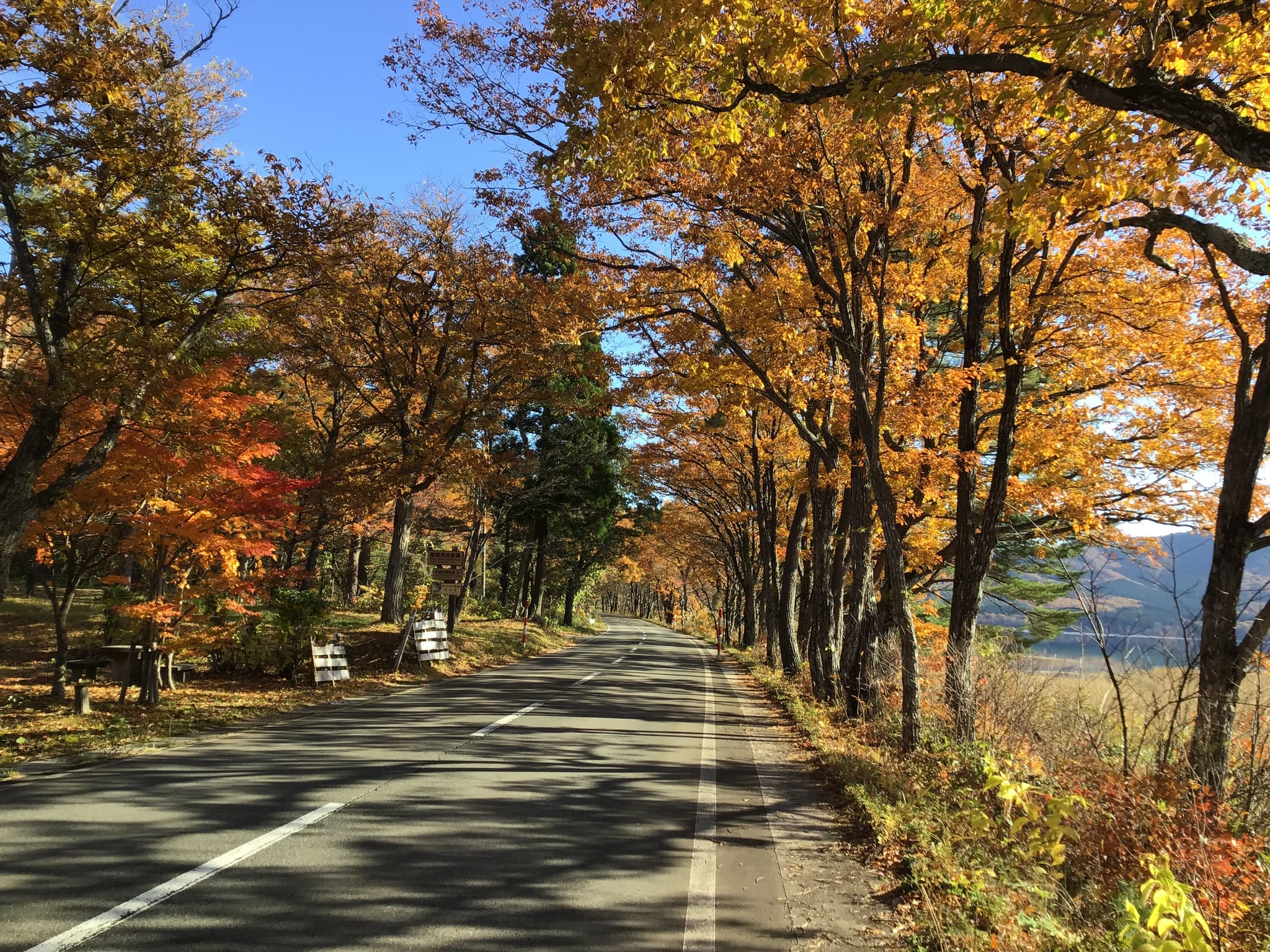 Lake Tazawa Scenery
