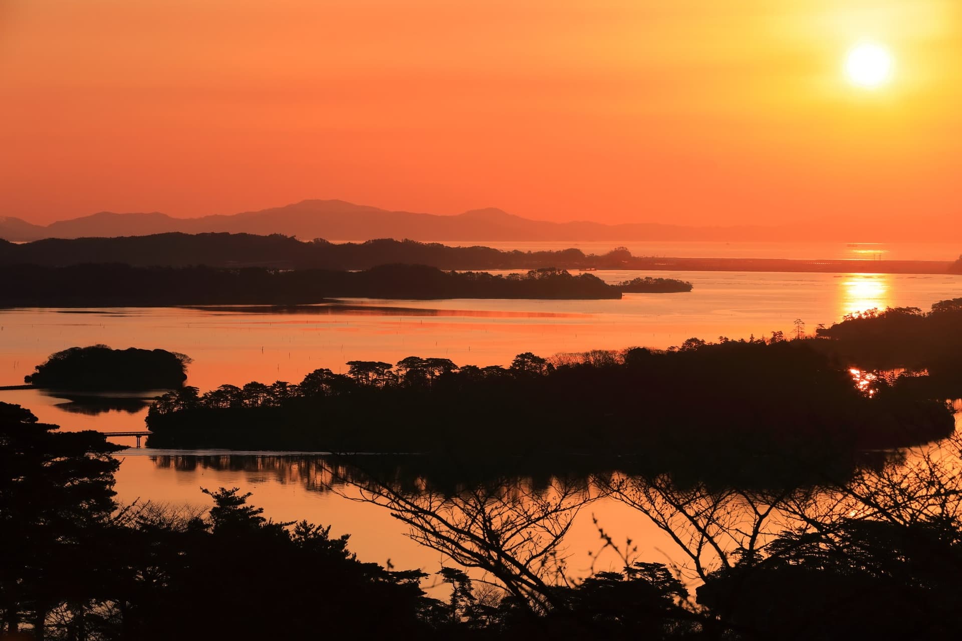 Nearby Attractions