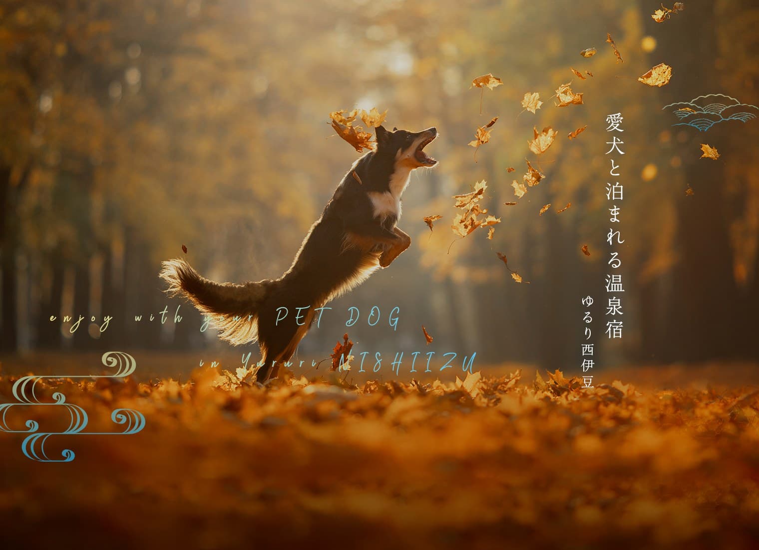 반려견과 함께