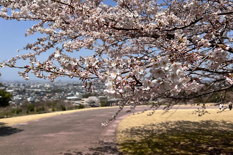 Kanazawa's Landmarks, Close By