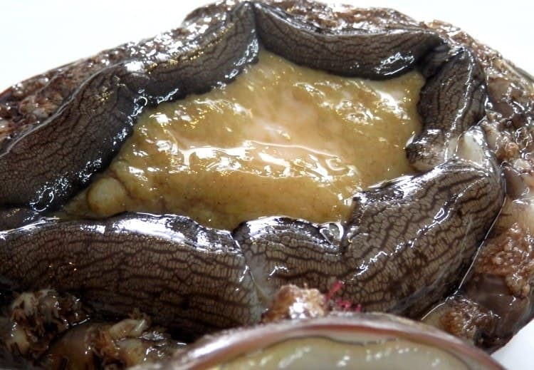 Wild Sanriku Abalone