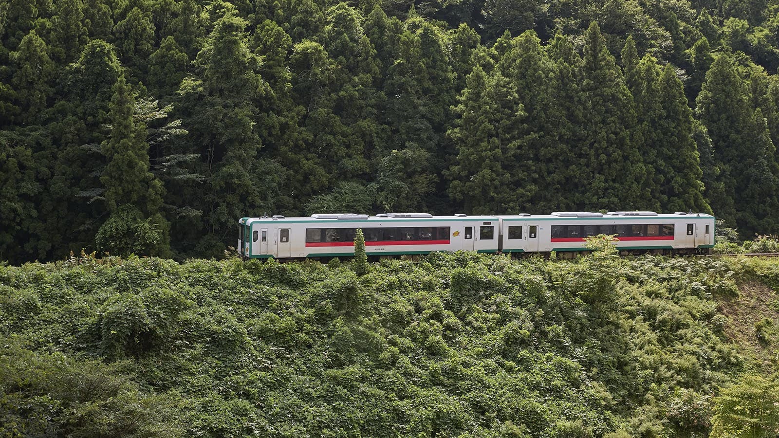A View Where Trains Pass By