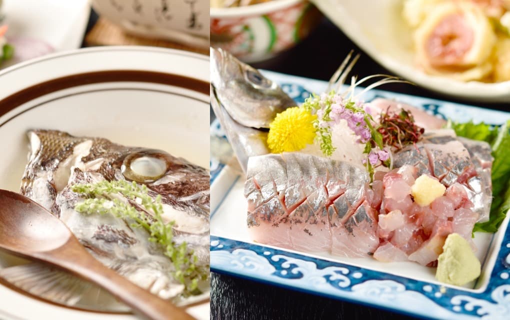 The Day's Catch From Teradomari Port