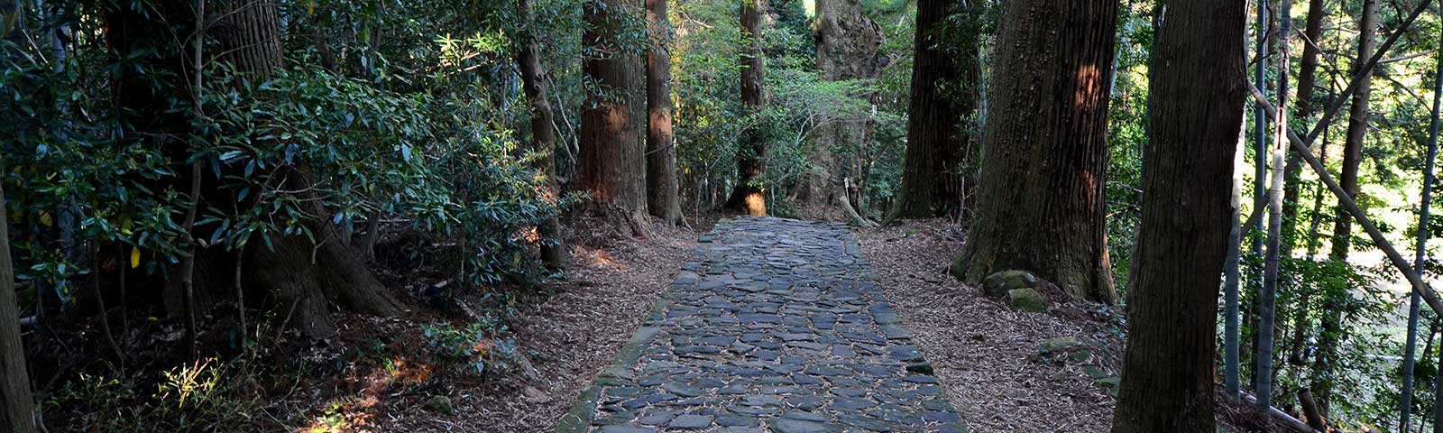 世界遗产熊野古道的门户