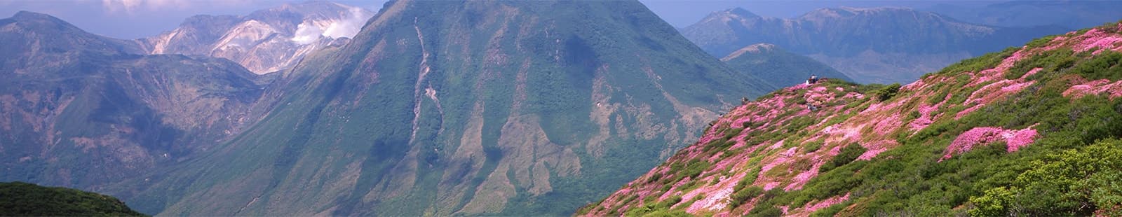 접근성