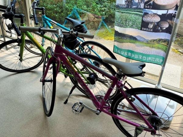 Rental Cycling on the Path of Myth