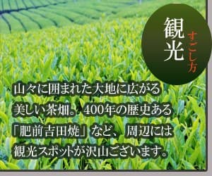 Green Tea Fields and Ureshino Sightseeing