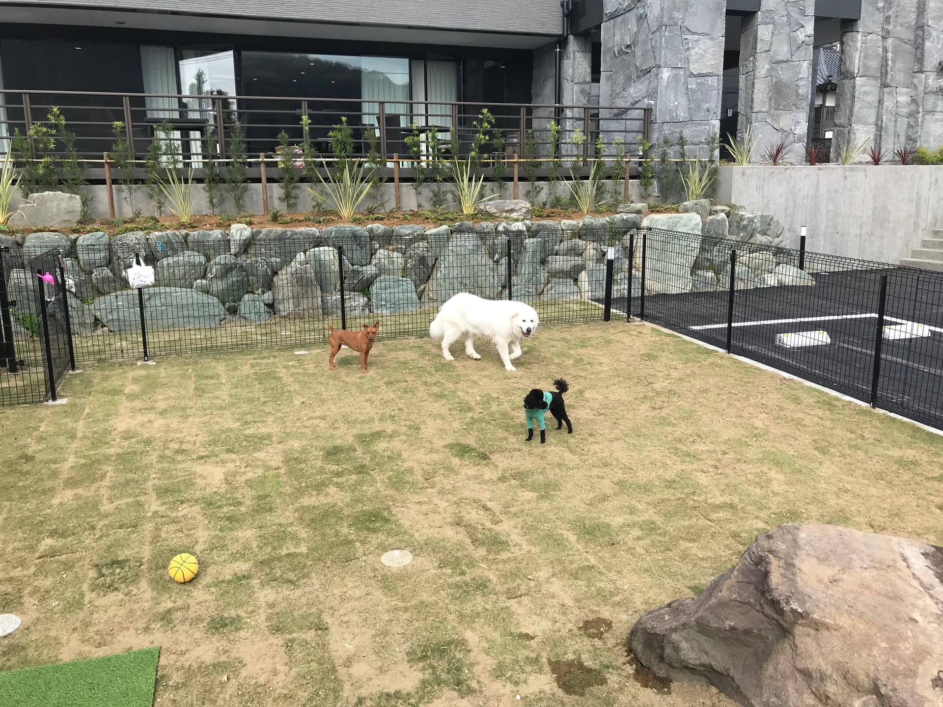 Around Tateyama