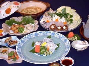 Winter's Delicacy: Live Torafugu