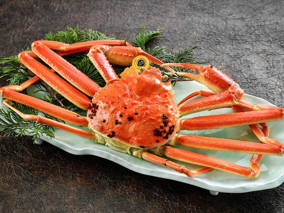 The Very Best of Echizen Crab