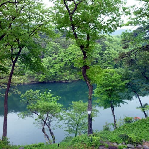 닛코 명소로의 접근