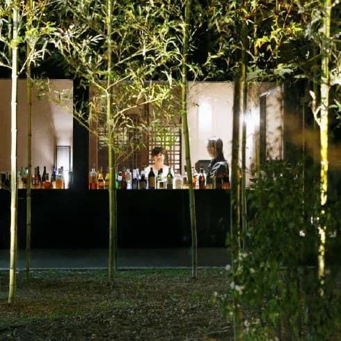 Lounge and Bar