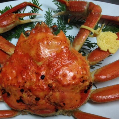 에치젠 다마가와온센 히데다케