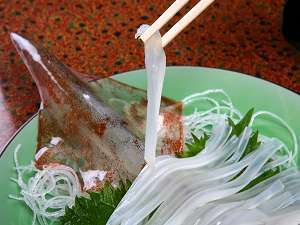 살아있는 오징어, 활이카 회