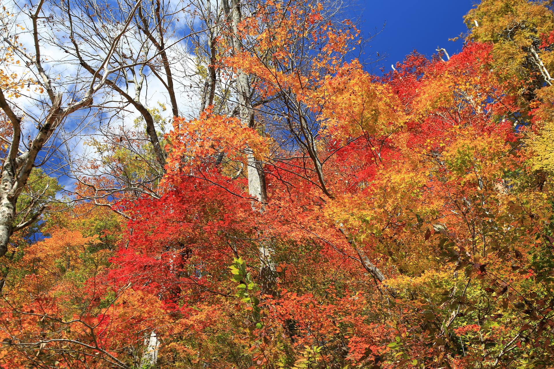 Scenery Dyed by the Colors of the Mountains