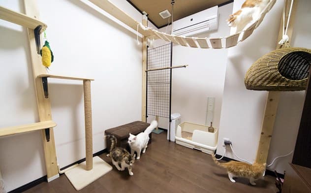 A Pet-Friendly Ryokan