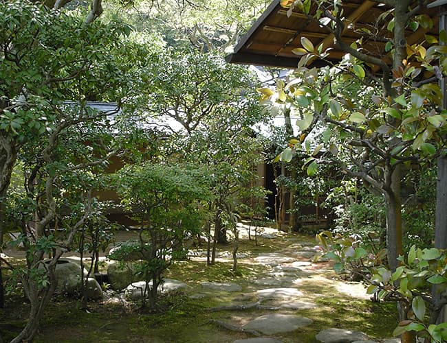 A Garden Spanning Three Styles