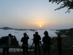 Four-Season Scenery and Experiences