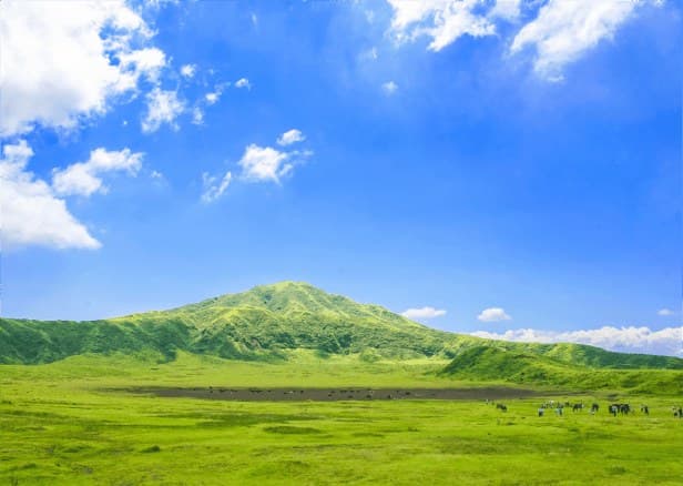 The Seasons of the Aso Highlands