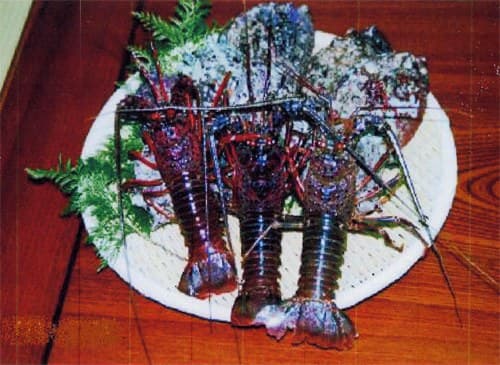 A Feast of Ise Ebi and Seafood