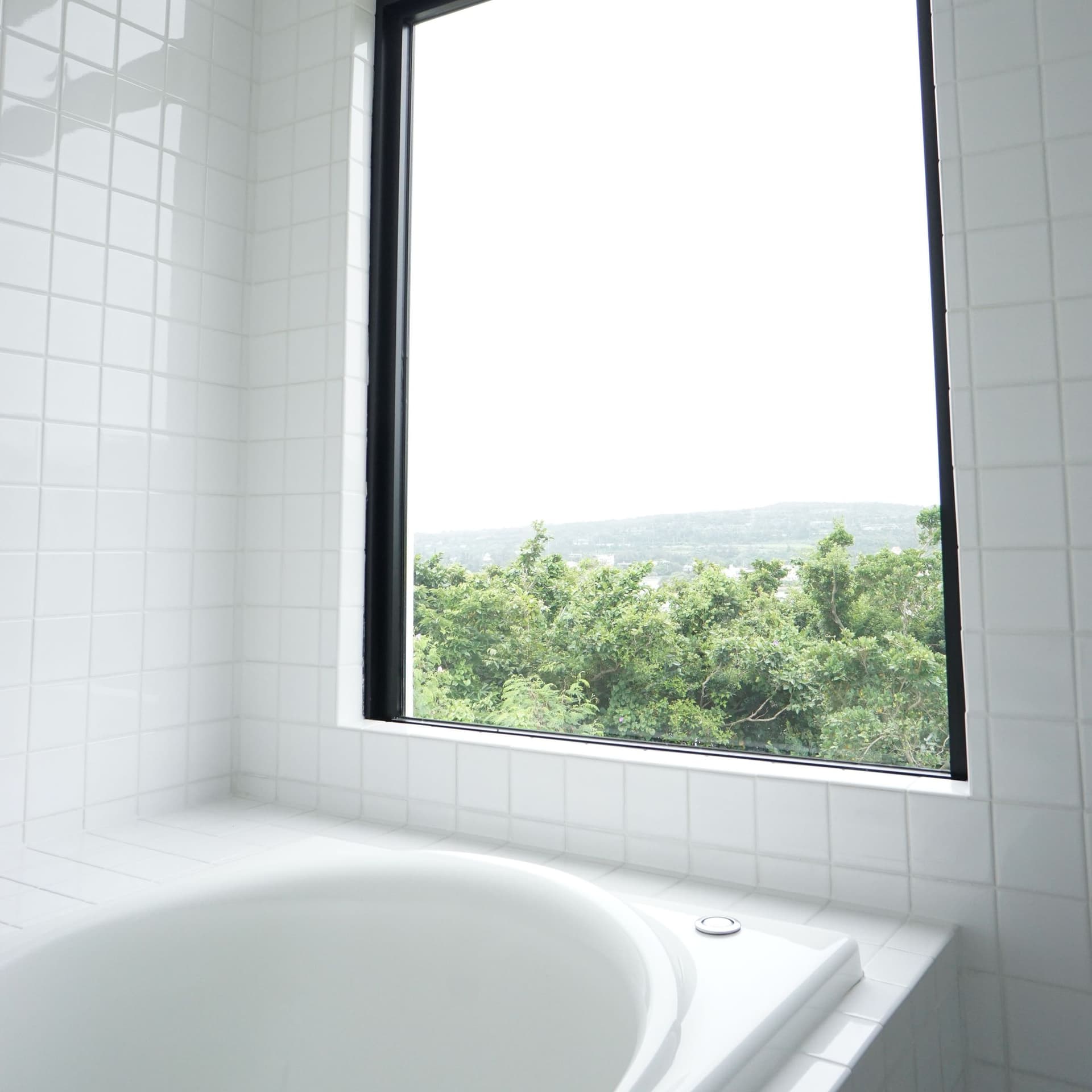 A Bathroom with a View