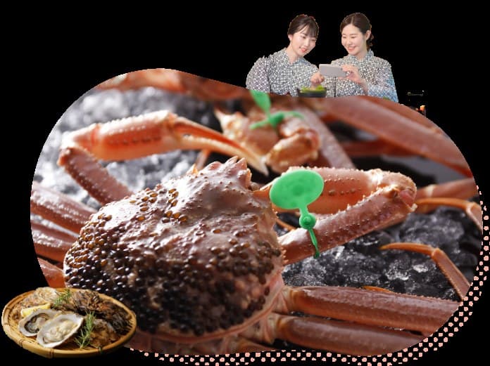 교탄고 여행 거점