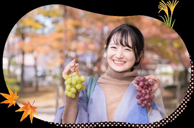 쿠미하마의 사계
