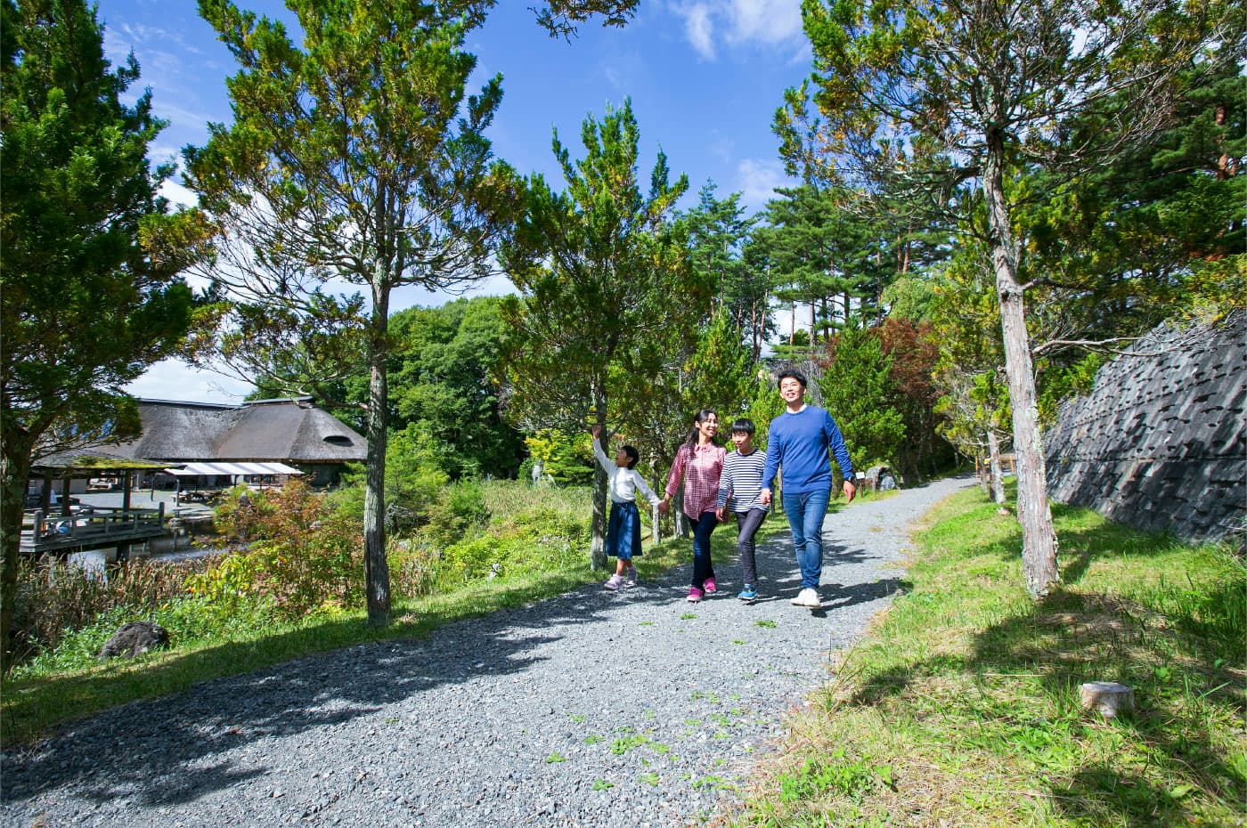 Wide gardens, Tono beyond