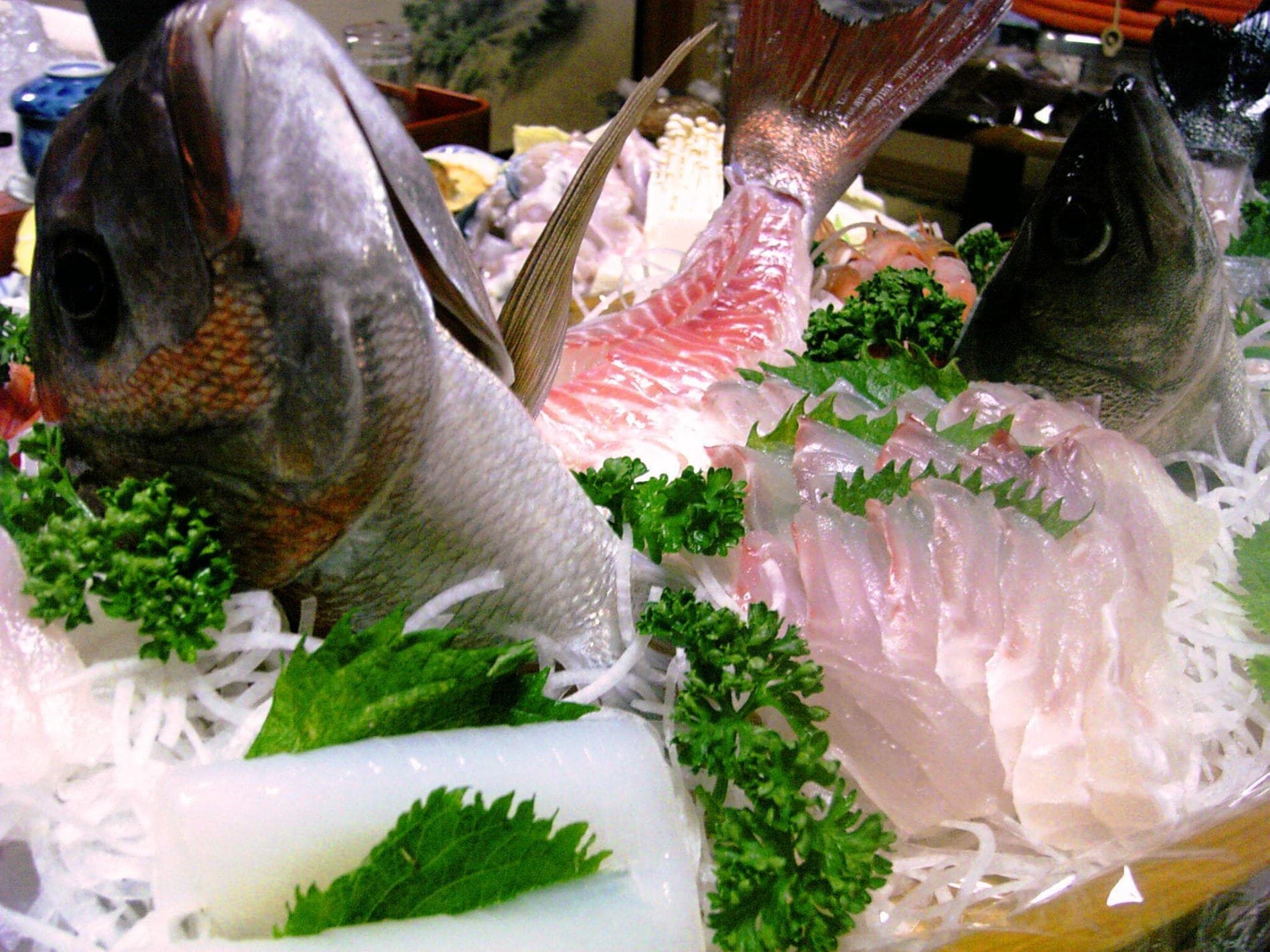 Fresh seafood from Wakasa Bay