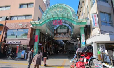 도고야