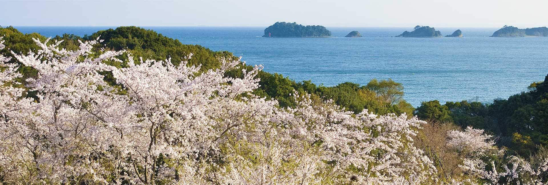 벚꽃과 족욕이 있는 정원 산책
