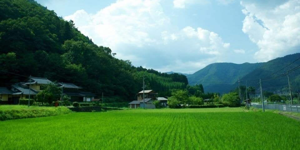 미야마의 사계 풍경