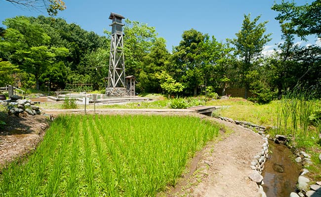 Water with 1,400 Years Behind It