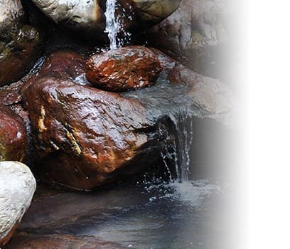 The Rock Bath and Its Waters