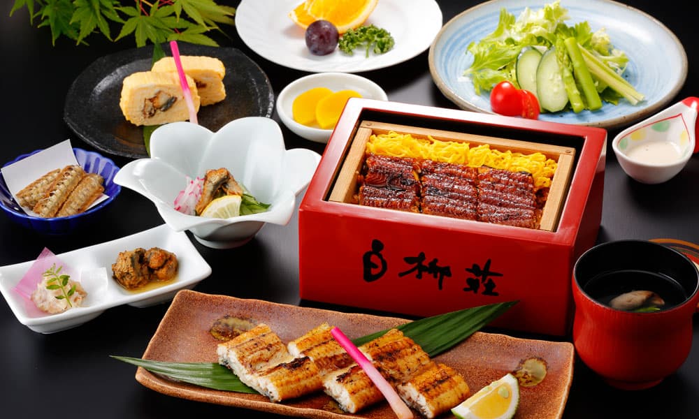 Yanagawa's Famous Unagi Seiromushi