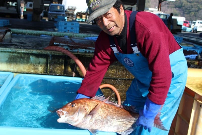 Seafood, Ingredient First