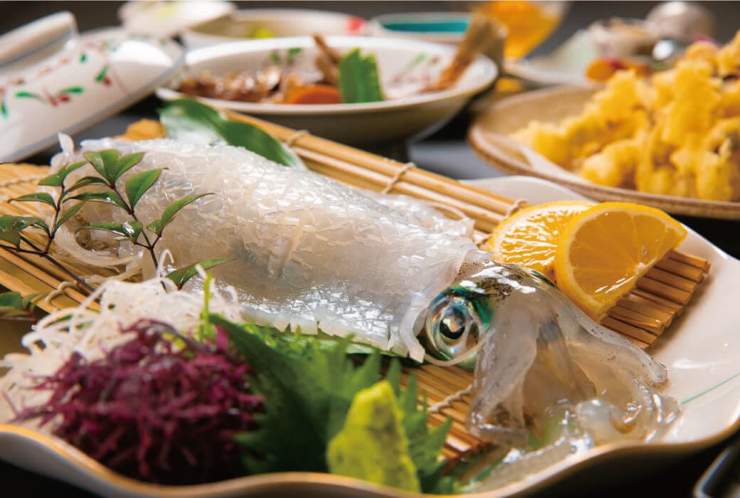 Delicacies from the Sea and Mountains of Karatsu