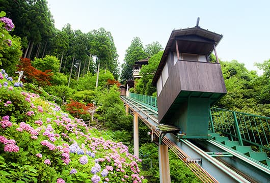 A Sulfur Spring That Melts Away Fatigue