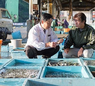 Seasonal Seafood Kaiseki from Kii-Nagashima Port
