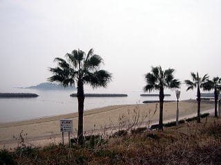 Right by Kira Waikiki Beach