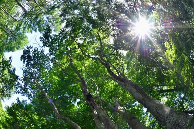 Right by the Tairyuji Ropeway, Easy to Reach