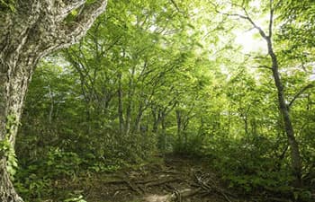 High-Altitude Nature and Access