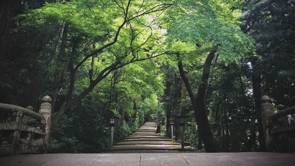 백산비메 신사 곁, 여운의 하룻밤