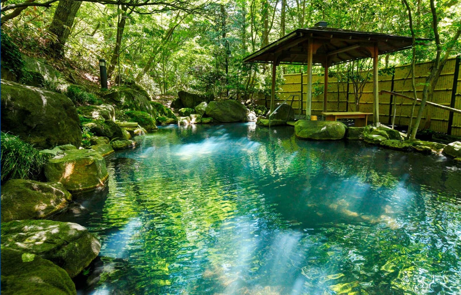 Open-Air Baths in the Forest
