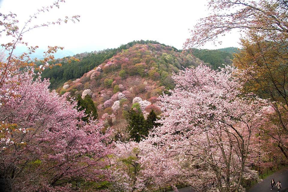 Keisho no Yado Hounkan