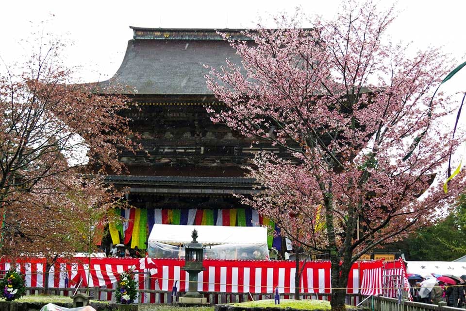 At the Heart of Mount Yoshino Sightseeing